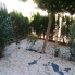 A Vendre - Chalet semi detached - Pilar de la Horadada - Mil Palmeras