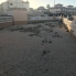 Location - Bungalow - Orihuela Costa - La Zenia