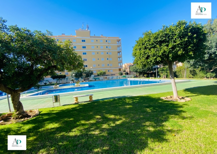 Location - Piso - Torrevieja