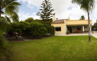 Detached Villa - Location - Elche - Elche