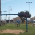 Alquiler larga estancia - Apartamento - Torrevieja - La Mata