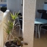 Alquiler larga estancia - Apartamento - Torrevieja