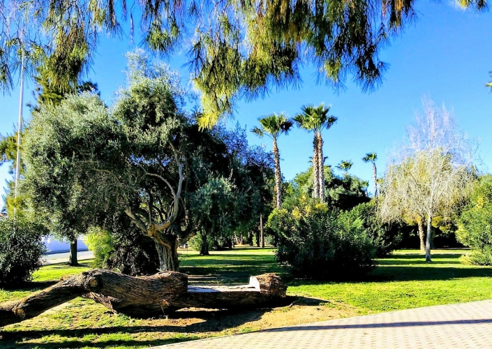 Alquiler larga estancia - Duplex - Torrevieja - Playa de los Locos