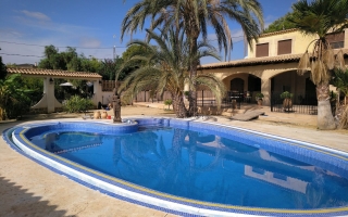 Detached Villa - Location - Crevillente - Crevillente