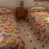 Location - Apartment - Torrevieja - La Mata