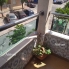 Alquiler larga estancia - Apartamento - Torrevieja