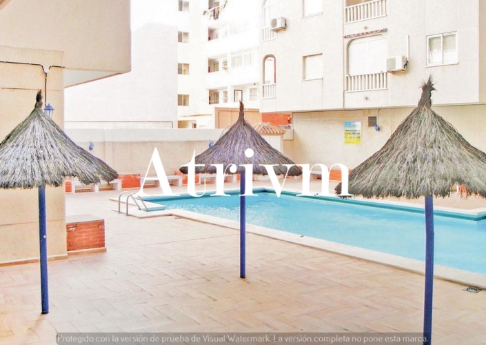 Alquiler larga estancia - Apartamento - Torrevieja