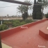 Location - Chalet - Elche - Elche Campo