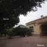 Alquiler larga estancia - Chalet - Elche - Elche Campo