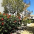 Alquiler larga estancia - Apartamento - Orihuela - Lomas de Cabo Roig