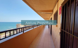 Apartamento - Alquiler larga estancia - Torrevieja - Torrevieja