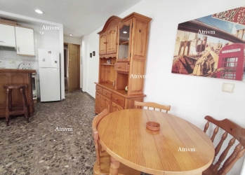 Studio - Alquiler larga estancia - Guardamar - Guardamar