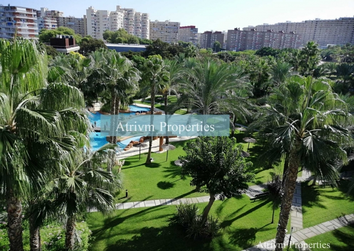 Location - Apartment - Alicante - San Juan