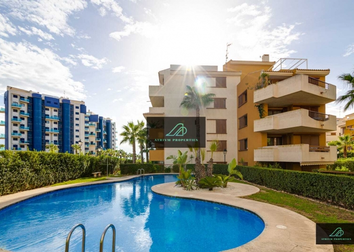 Alquiler larga estancia - Piso - Punta Prima