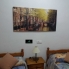 Long Term Rentals - Duplex - Torre de Horadada