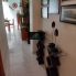 Location - Apartment - Torrevieja