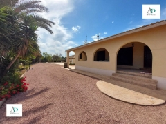 Villa - Location - Elche - Elche
