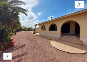 Villa - Long Term Rentals - Elche - Elche