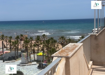 Piso - Alquiler larga estancia - Torrevieja - Torrevieja