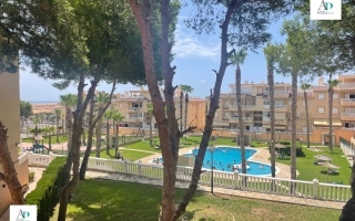 Apartment - Long Term Rentals - Guardamar - Guardamar