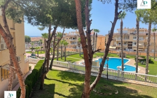 Piso - Alquiler larga estancia - Guardamar - Guardamar