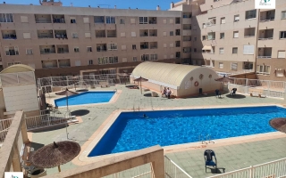 Apartment - Location - Torrevieja - Torrevieja