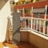Location - Apartment - Torrevieja