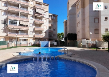 Piso - Alquiler larga estancia - Torrevieja - Torrevieja