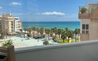 Piso - Alquiler larga estancia - Torrevieja - Torrevieja