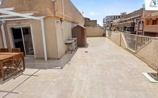 Piso - Location - Torrevieja - Torrevieja