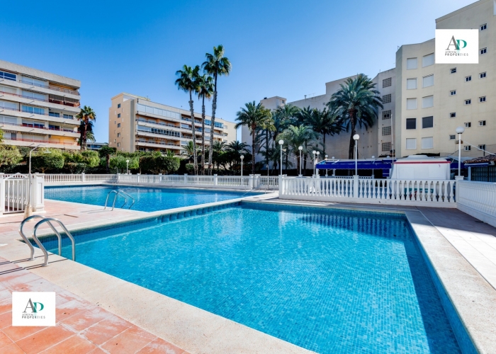 Long Term Rentals - Piso - Torrevieja