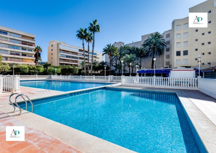 Long Term Rentals - Piso - Torrevieja