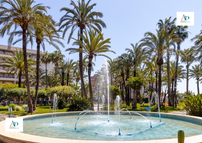 Long Term Rentals - Piso - Torrevieja