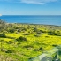 Long Term Rentals - Piso - Punta Prima