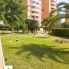 Long Term Rentals - Piso - Campoamor - Dehesa de Campoamor