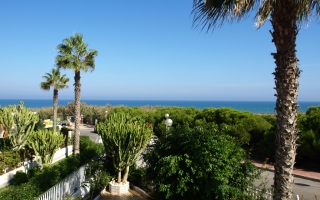 Chalet - Resale - Guardamar del Segura - Moncayo