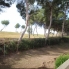 Segunda Mano - Apartamento - Campoamor Golf - Campoamor