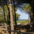 Alquiler larga estancia - Apartamento - Guardamar del Segura - Guardamar