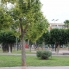 A Vendre - Apartment -  - Torrevieja, Playa Acequion