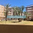 Location - Apartment - Guardamar del Segura - Guardamar