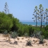 New Build - Apartment - Torrevieja - La Mata