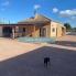 Alquiler larga estancia - Detached Villa - Crevillente