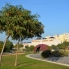 A Vendre - Penthouse - Torrevieja - La Mata