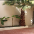 Location - Bungalow - Torrevieja - Los Frutales