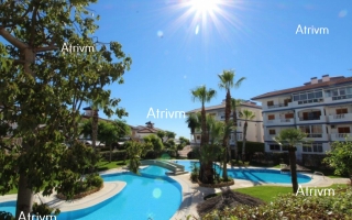 Apartment - Long Term Rentals - La Mata - La Mata