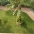 Location - Apartment - Punta Prima