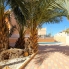 A Vendre - Duplex - Torrevieja