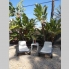 Segunda Mano - Luxury Villa - Orihuela Costa - Los Balcones